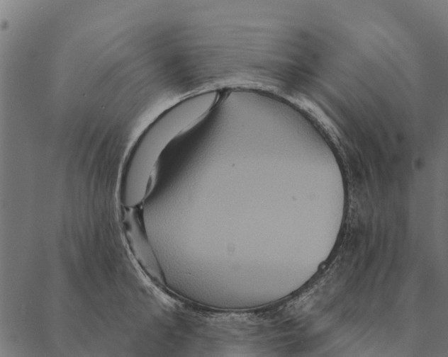 X0000087350902200705181123