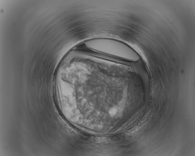 X0000087350903200705181123