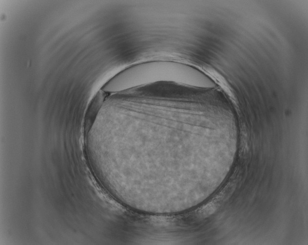 X0000087350904200705181123