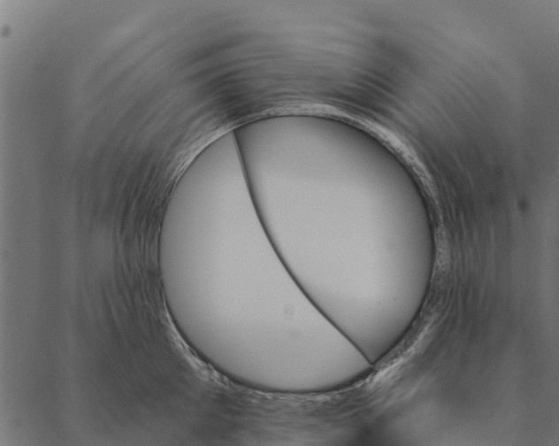 X0000087350905200705181123