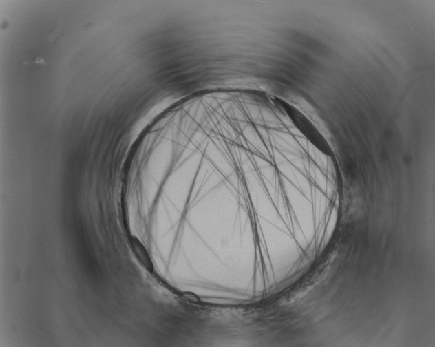 X0000087350909200705181123