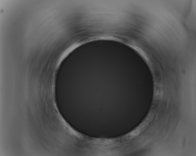 X0000087350910200705181123