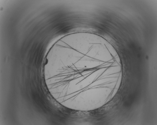 X0000087350912200705181123