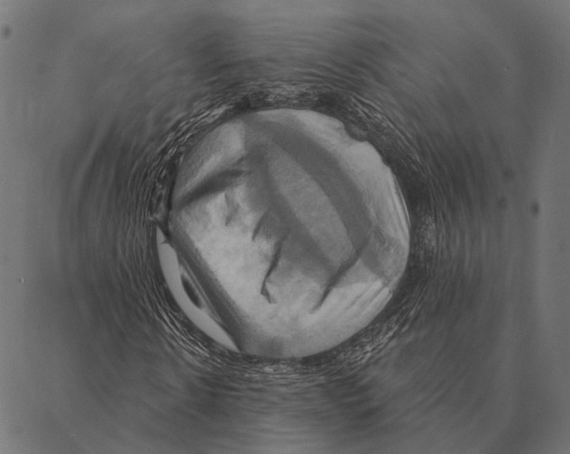 X0000087350914200705181122