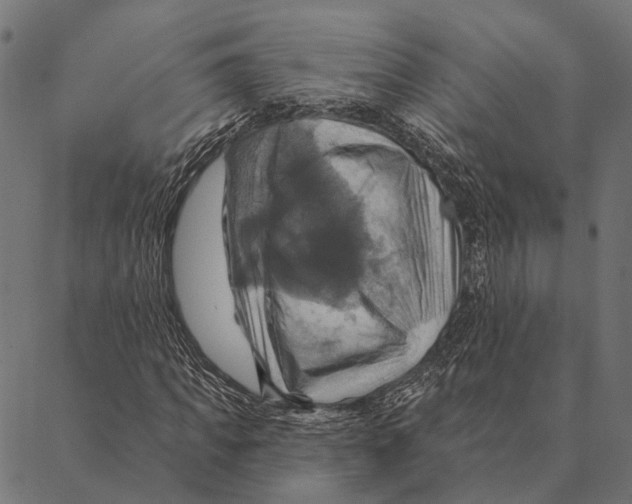 X0000087350917200705181122