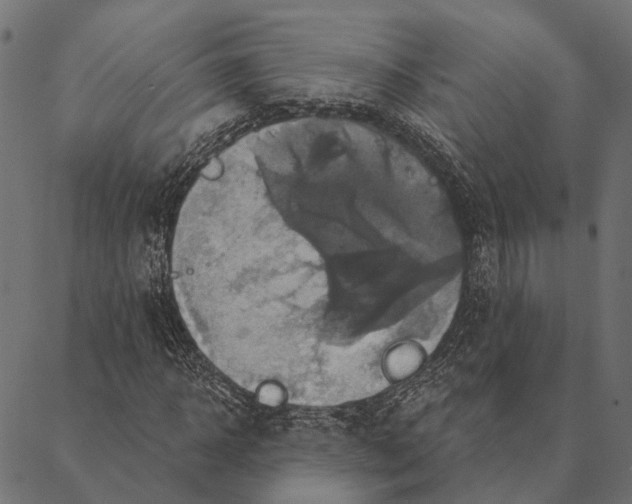 X0000087350918200705181122