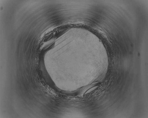 X0000087350920200705181122