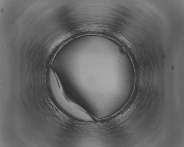 X0000087350922200705181122