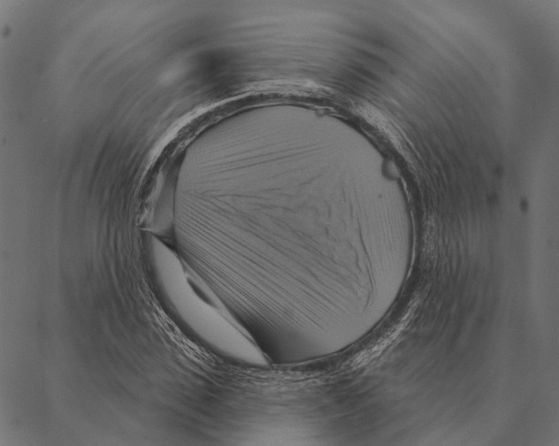 X0000087350923200705181122