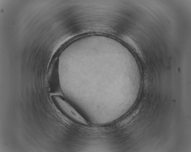 X0000087350924200705181122