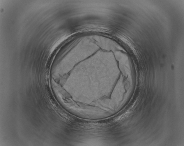 X0000087350925200705181122