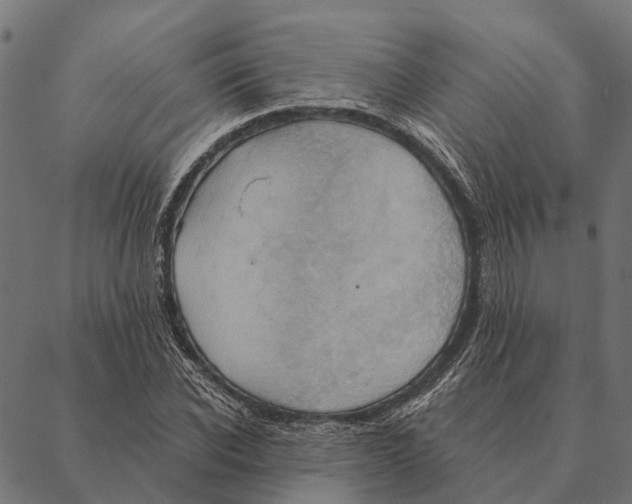 X0000087350926200705181122