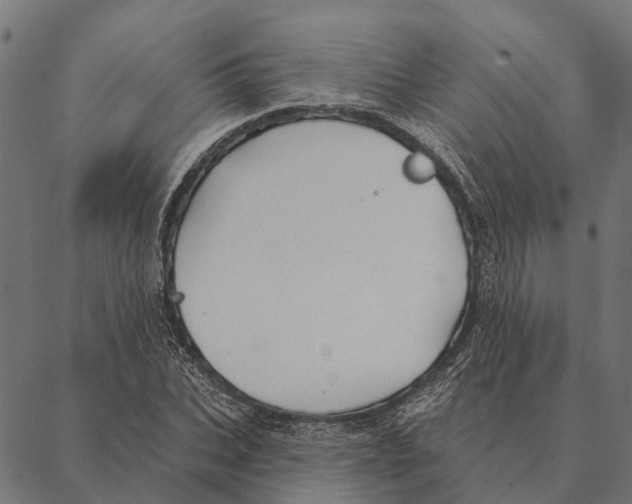 X0000087350927200705181123