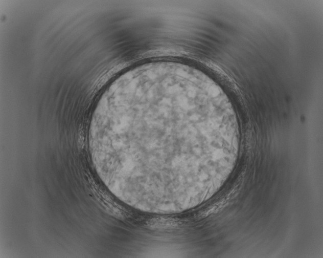 X0000087350929200705181123