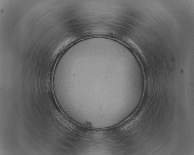 X0000087350930200705181123