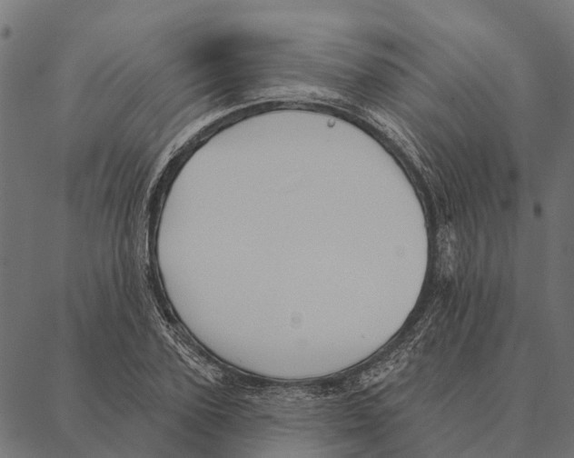 X0000087350931200705181123