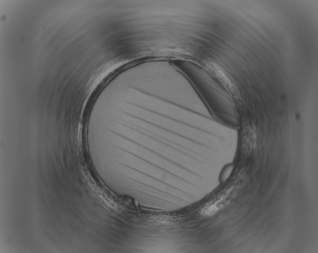 X0000087350932200705181123