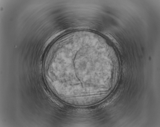 X0000087350933200705181123