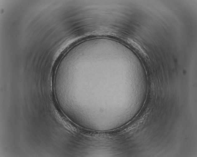 X0000087350934200705181123