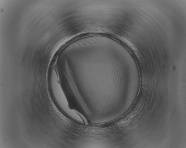 X0000087350935200705181123