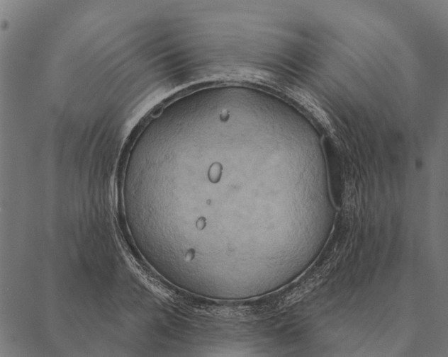 X0000087350936200705181123