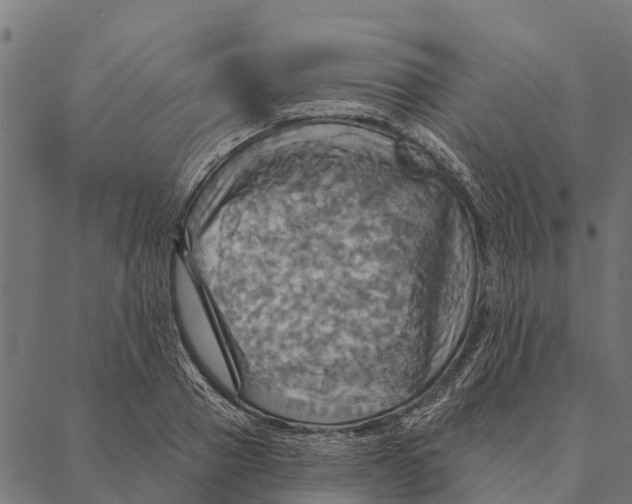 X0000087350937200705181123