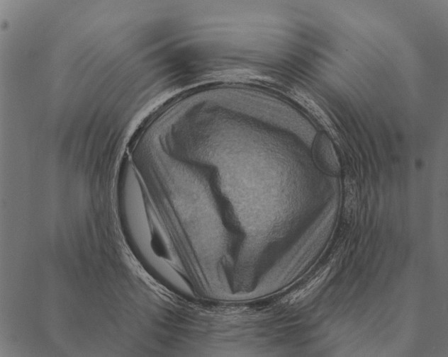 X0000087350939200705181123