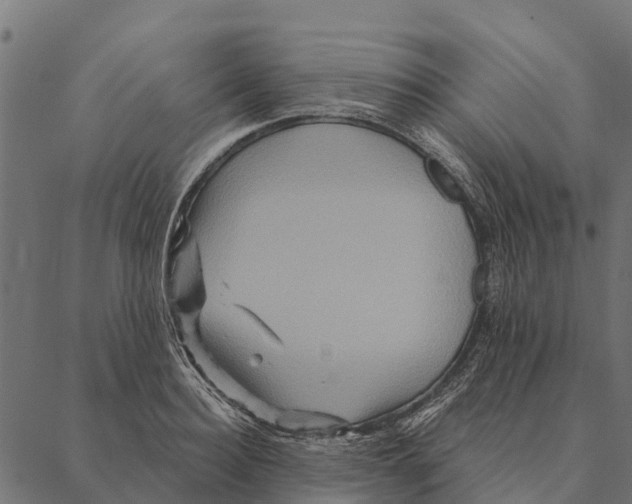 X0000087350940200705181123