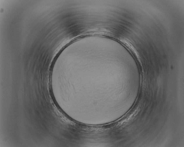 X0000087350941200705181123