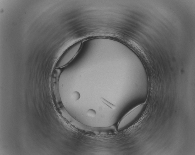 X0000087350942200705181123