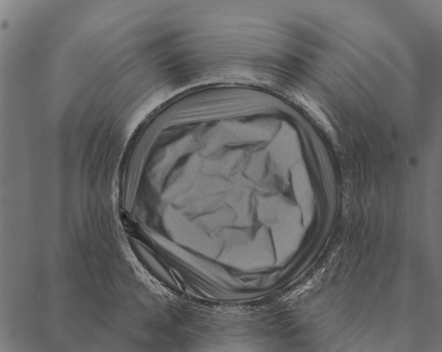 X0000087350944200705181123