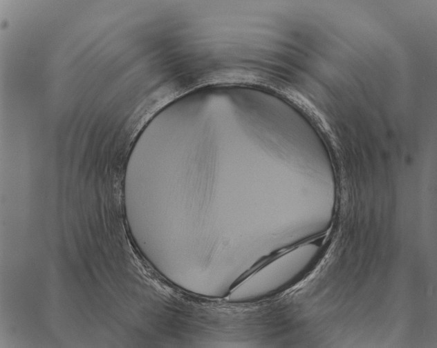 X0000087350945200705181123