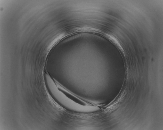 X0000087350946200705181123