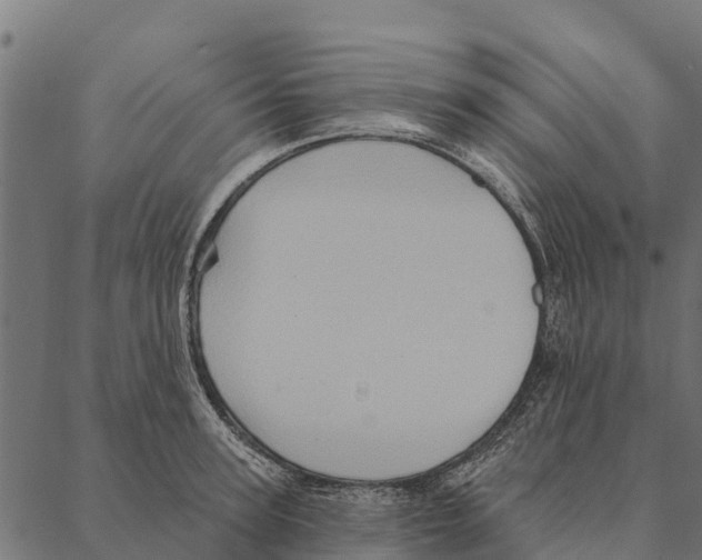 X0000087350947200705181123