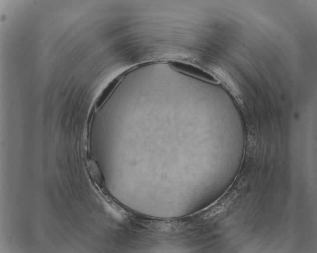 X0000087350948200705181123