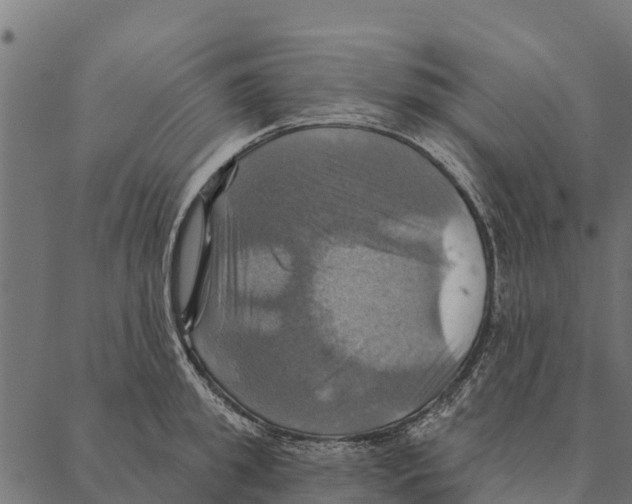 X0000087350949200705181123