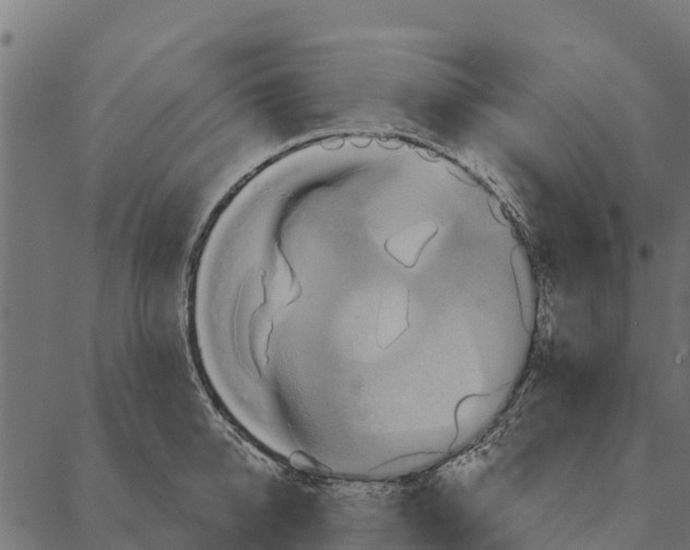 X0000087350950200705181123