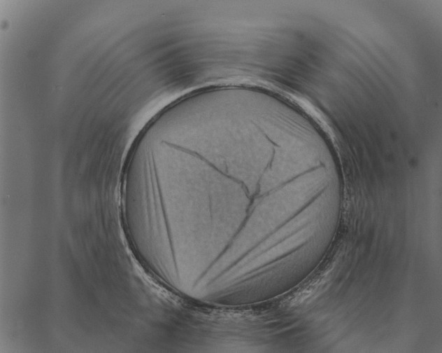 X0000087350951200705181123