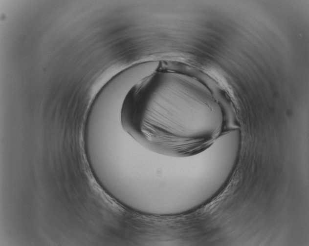 X0000087350952200705181123