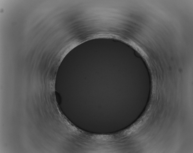 X0000087350953200705181123