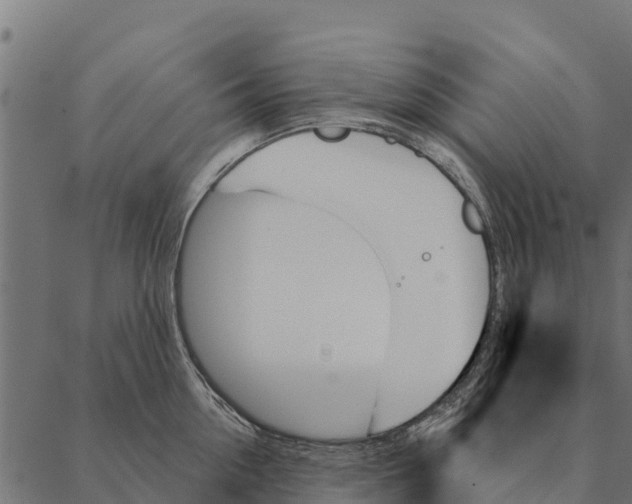 X0000087350954200705181123