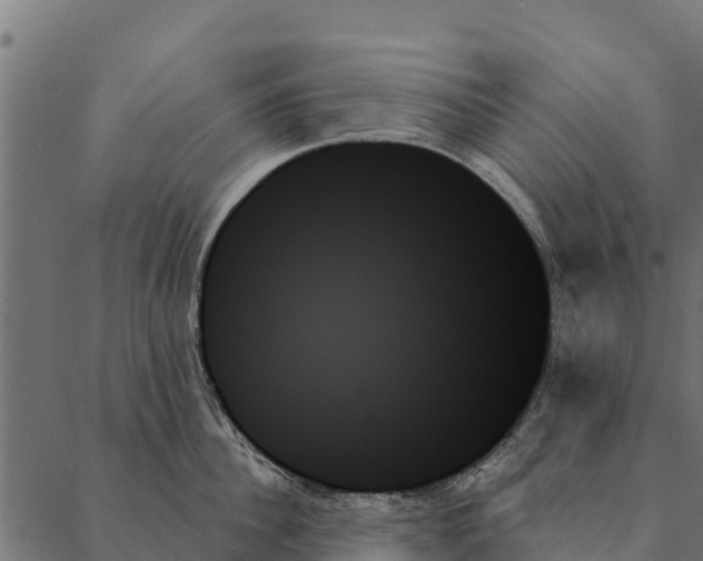 X0000087350956200705181123