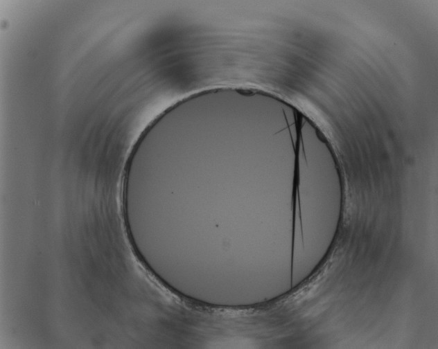 X0000087350958200705181123