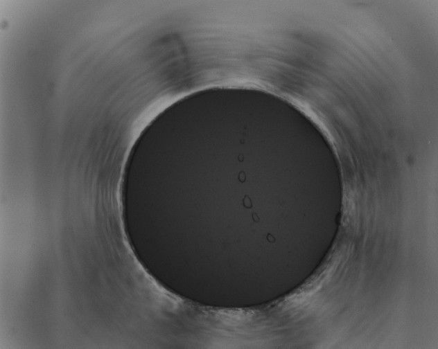 X0000087350959200705181123