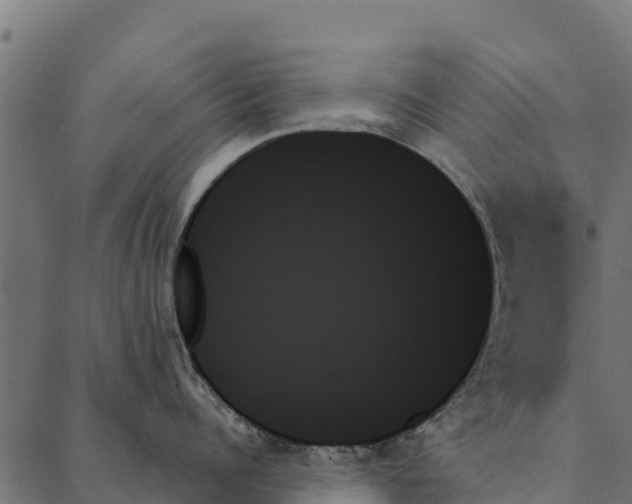 X0000087350960200705181123