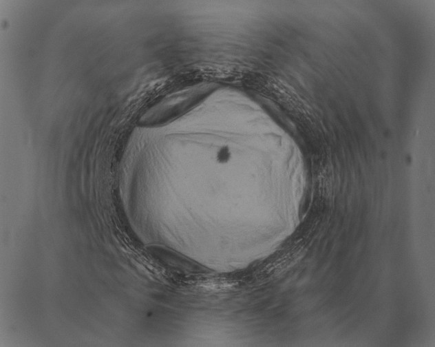 X0000087350961200705181122