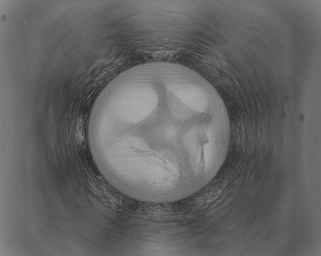 X0000087350962200705181122