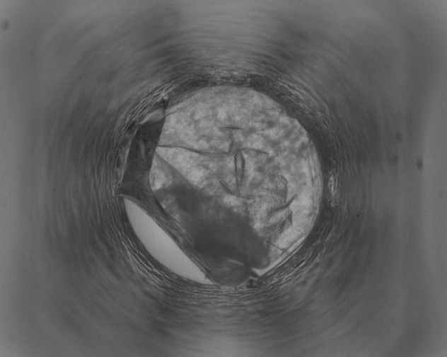 X0000087350963200705181122