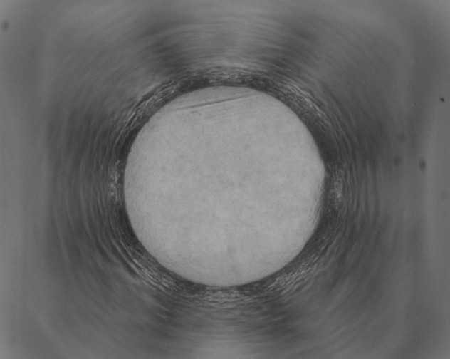 X0000087350964200705181122