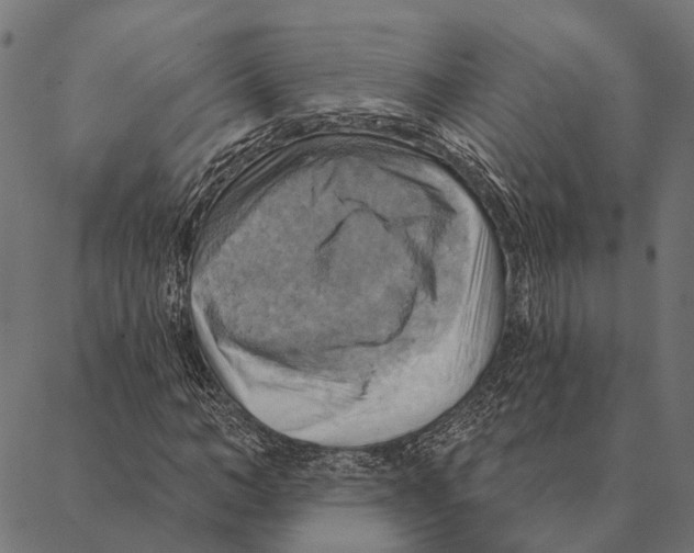 X0000087350966200705181122